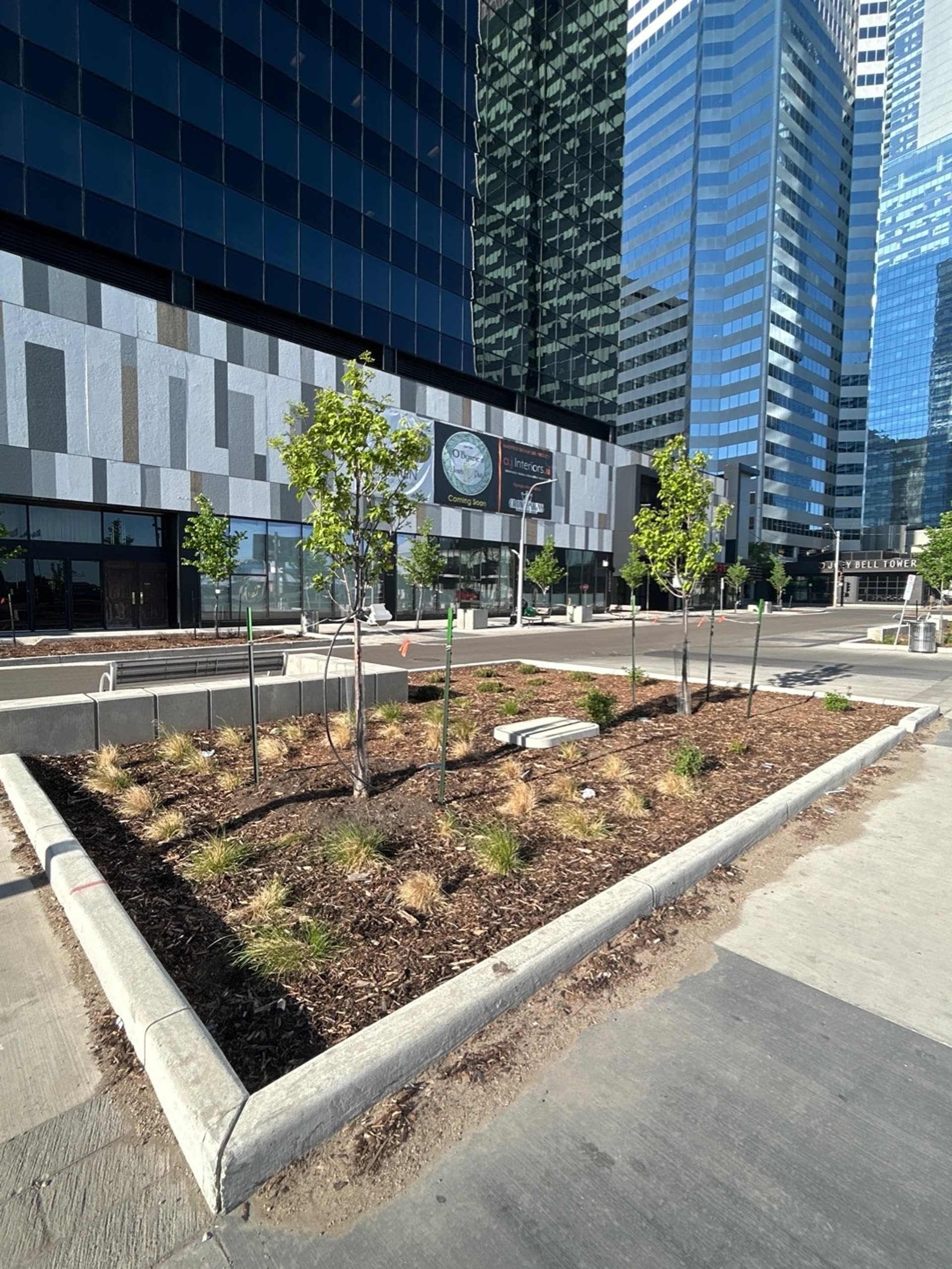 103 Avenue Streetscape