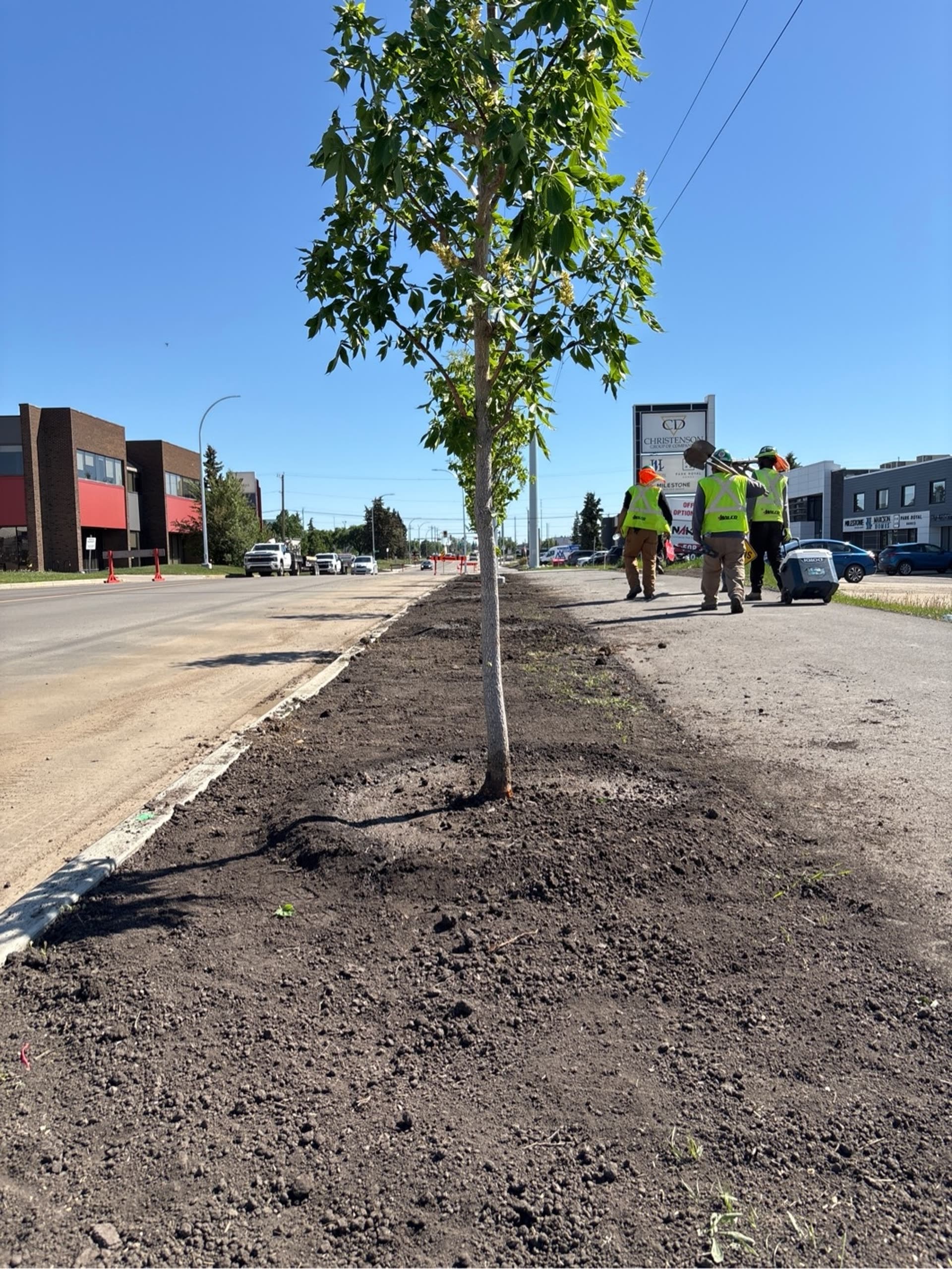 97 Street Renewal