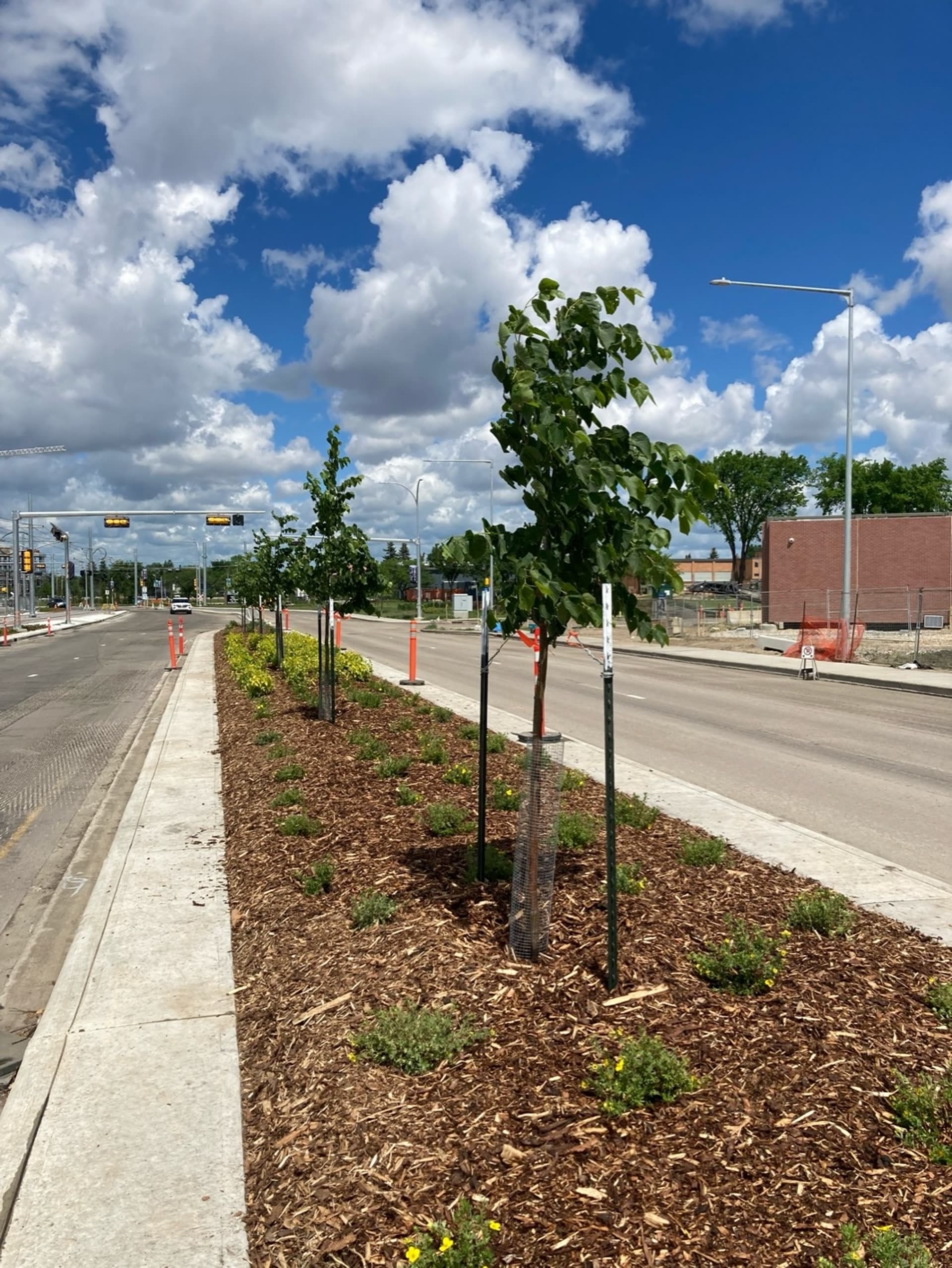 TransEd LRT North & NSRV
